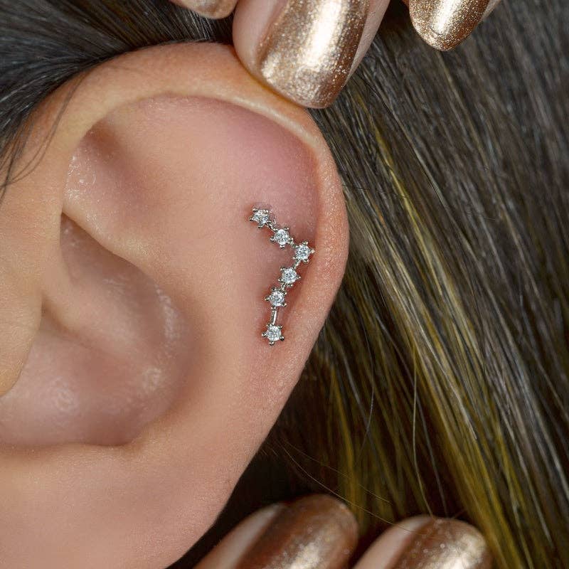 StockJWL - Wholesale Stud/Post Earrings - 12 Zodiac Earrings, Constellation Stud Earring Stud Piercing Tragus Helix Lobe and Cartilage Silver And Gold70
