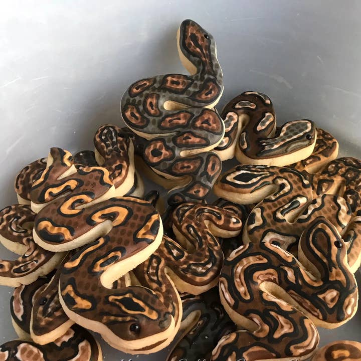 Summitbaking - Vente Emporte-pièce - Palm Pets Ensemble d'emporte-pièces Reptile9