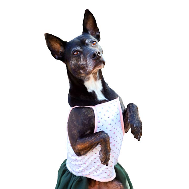 Midlee Designs - Wholesale Pet Dress - Dog - Midlee Pink Rose Tutu Large Dog Dress