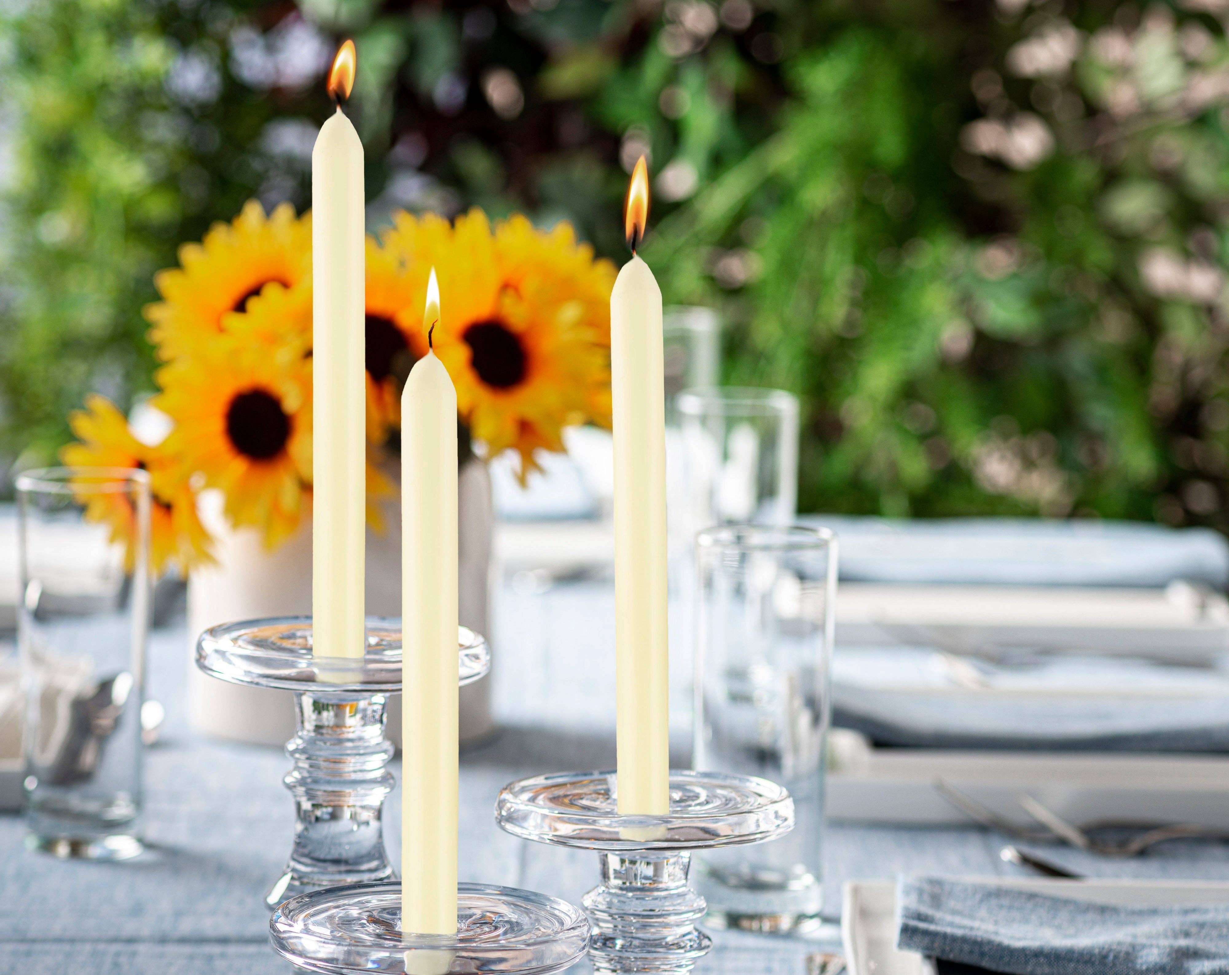 BOLSIUS - Wholesale Tapered Candle/Candlestick - 9 Inch Dinner Taper Candles 10 Pack - Wedding, Decorative, Holiday, Colored Unscented Taper Candles15