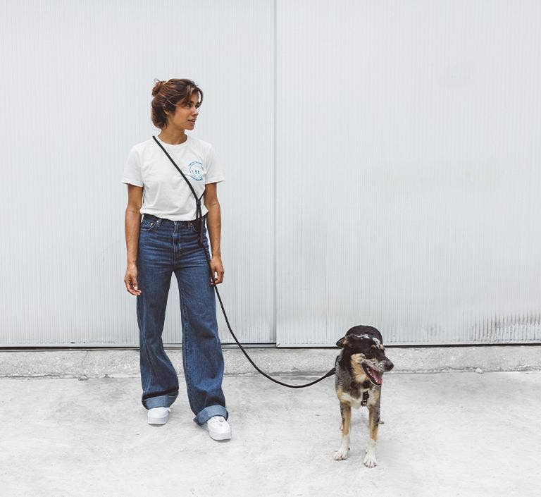 Zee.Dog - Wholesale Pet Leash - Dog - Gotham | Hands-Free Leash3