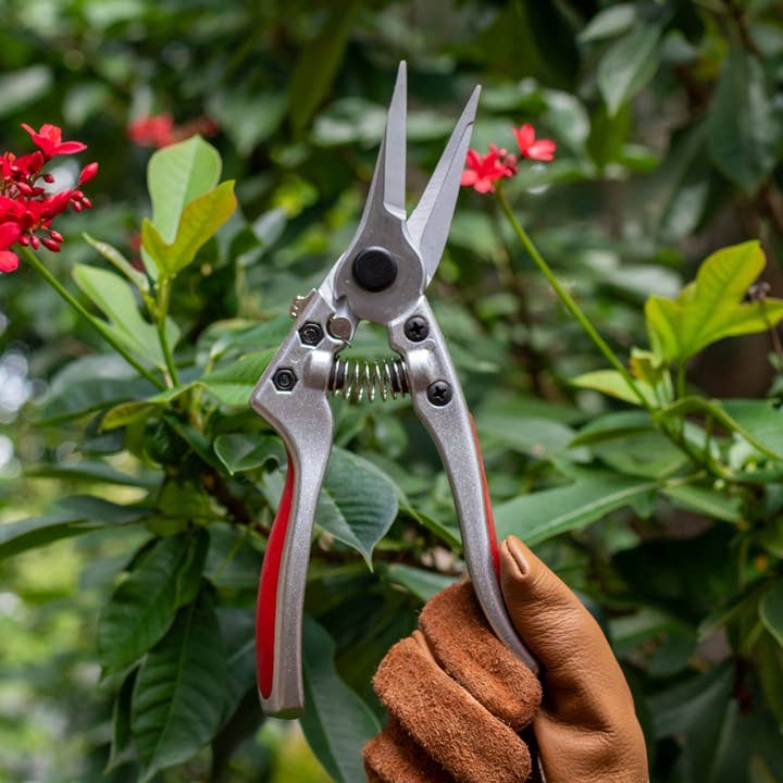 Garden Works - Wholesale Garden Tool - Ironwood Long Needle Nose Secateurs