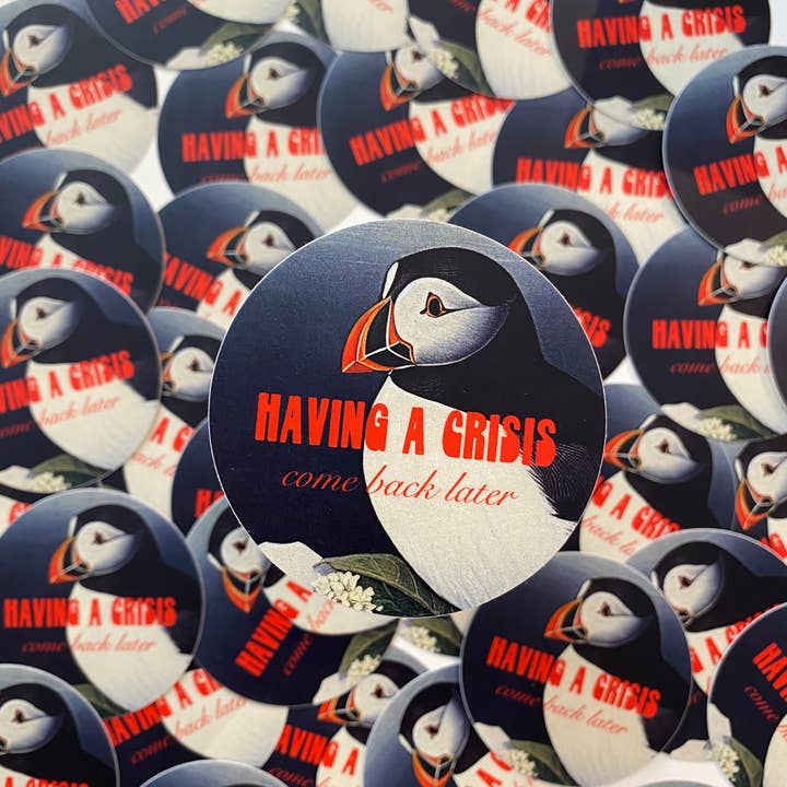 The Coin Laundry - Wholesale Sticker - Having a Crisis Come Back Later Funny Bird Sticker