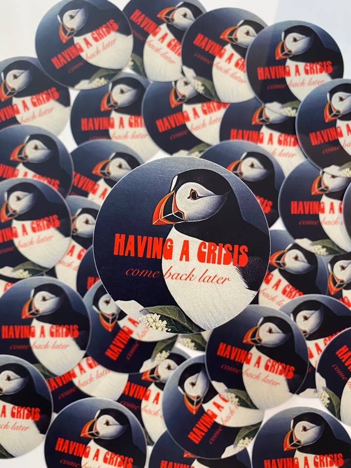 Divertida pegatina de pájaro Having a Crisis Come Back Later para venta al por mayor de The Coin Laundry