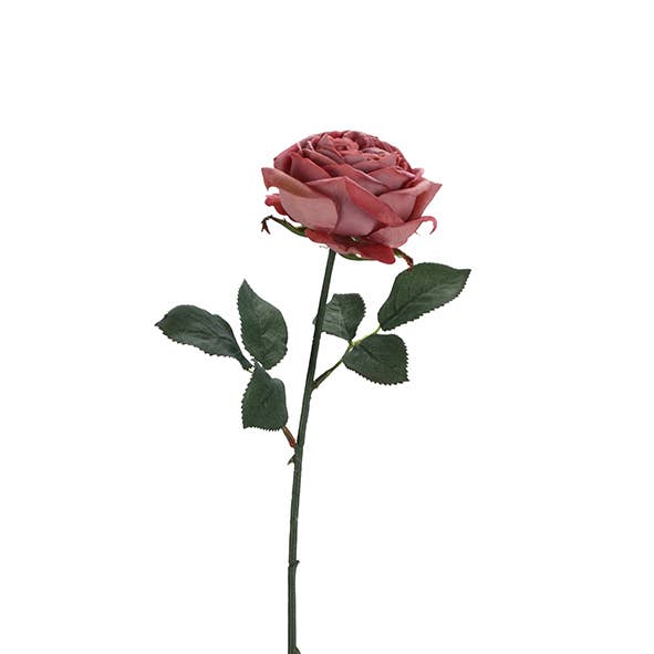 Vosteen - Wholesale Artificial Flowers - Rose Velvet, 1 flower, L38cm, pink-pink0