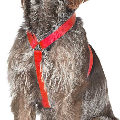 Nylon Dog Harness Red Large 55-87cm for wholesale by Ancol Pet Products Ltd