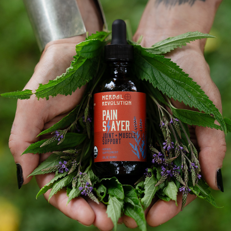 Herbal Revolution Farm + Apothecary - Wholesale Tincture - Pain Slayer: Joint + Muscle Support Elixir4