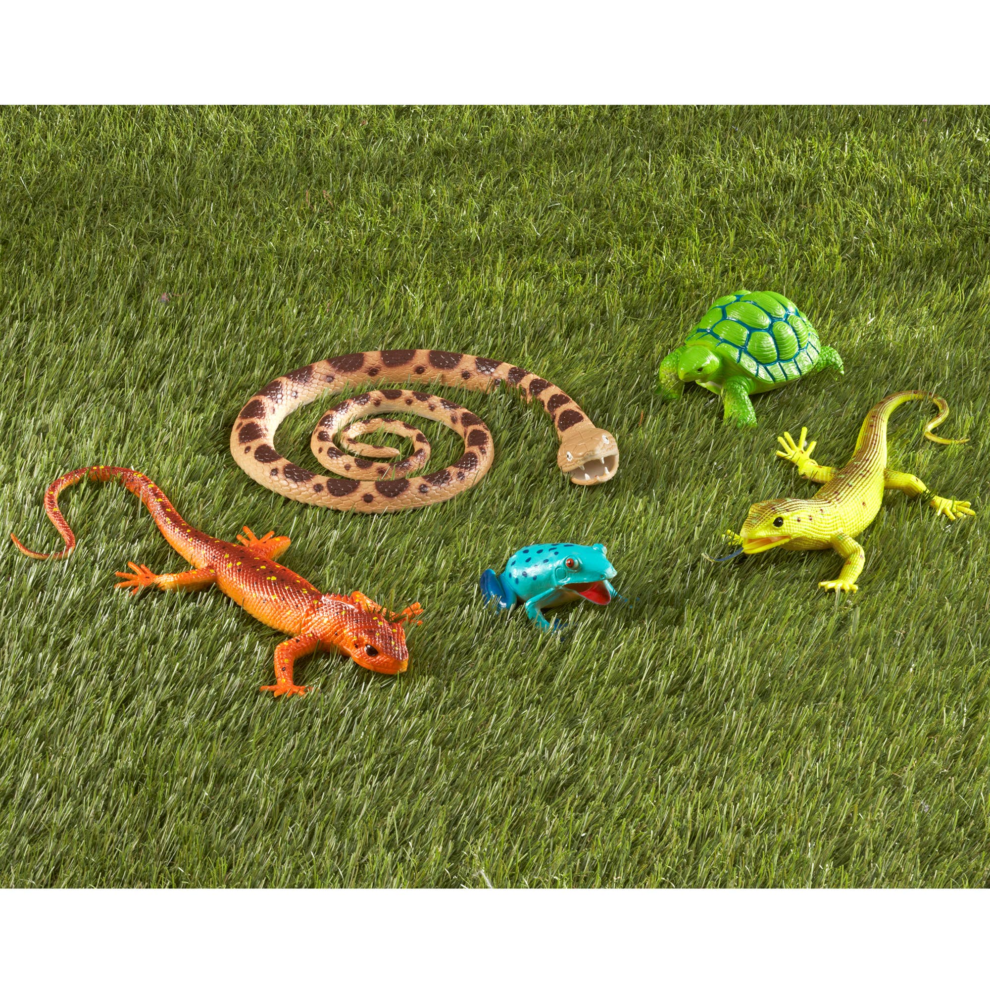 Learning Resources - Wholesale Toy Set - Kids - Jumbo Reptiles & Amphibians3