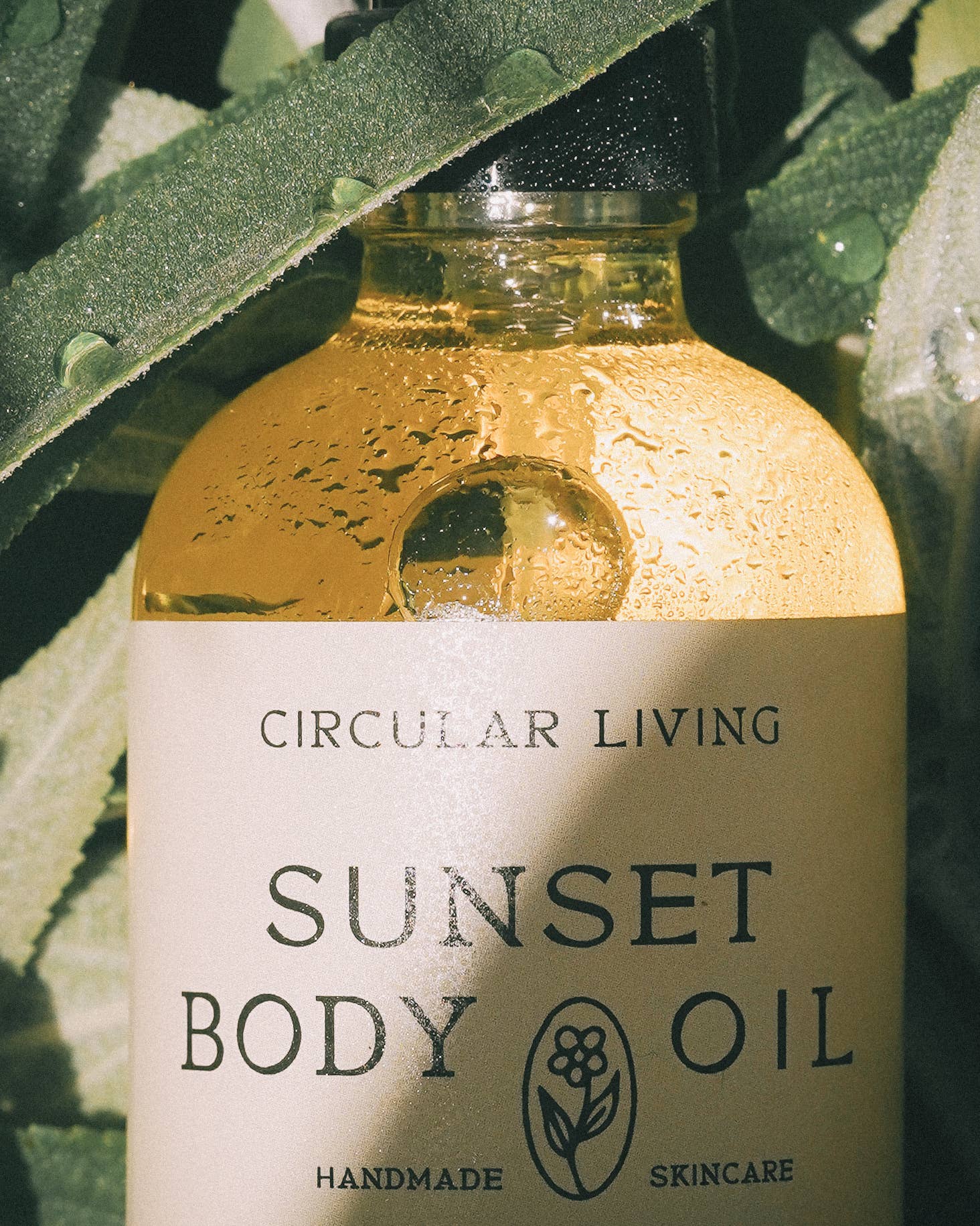 Circular Living - Wholesale Bath/Body Oil - Sunset Body Oil, Clary Sage & Vetiver5