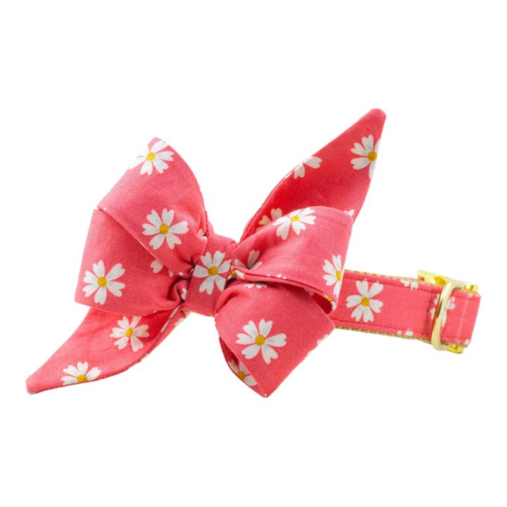 Korallprästkragar Belle-rosett hundhalsband för wholesale av Crew LaLa