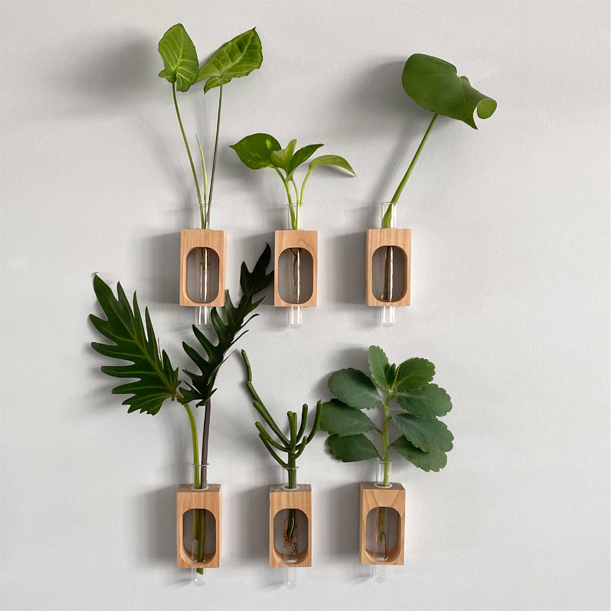 PRINT AND PROPER - Wholesale Hanging Planter - Plant Propagation Station. Wall Mount Test Tube Plant Holder2
