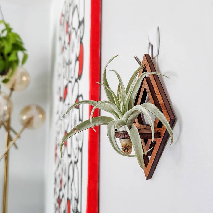 Leaf & Node - Wholesale Wall Planter - Air Plant Holder Display, Wall Hanging, Wood Diamond Design
