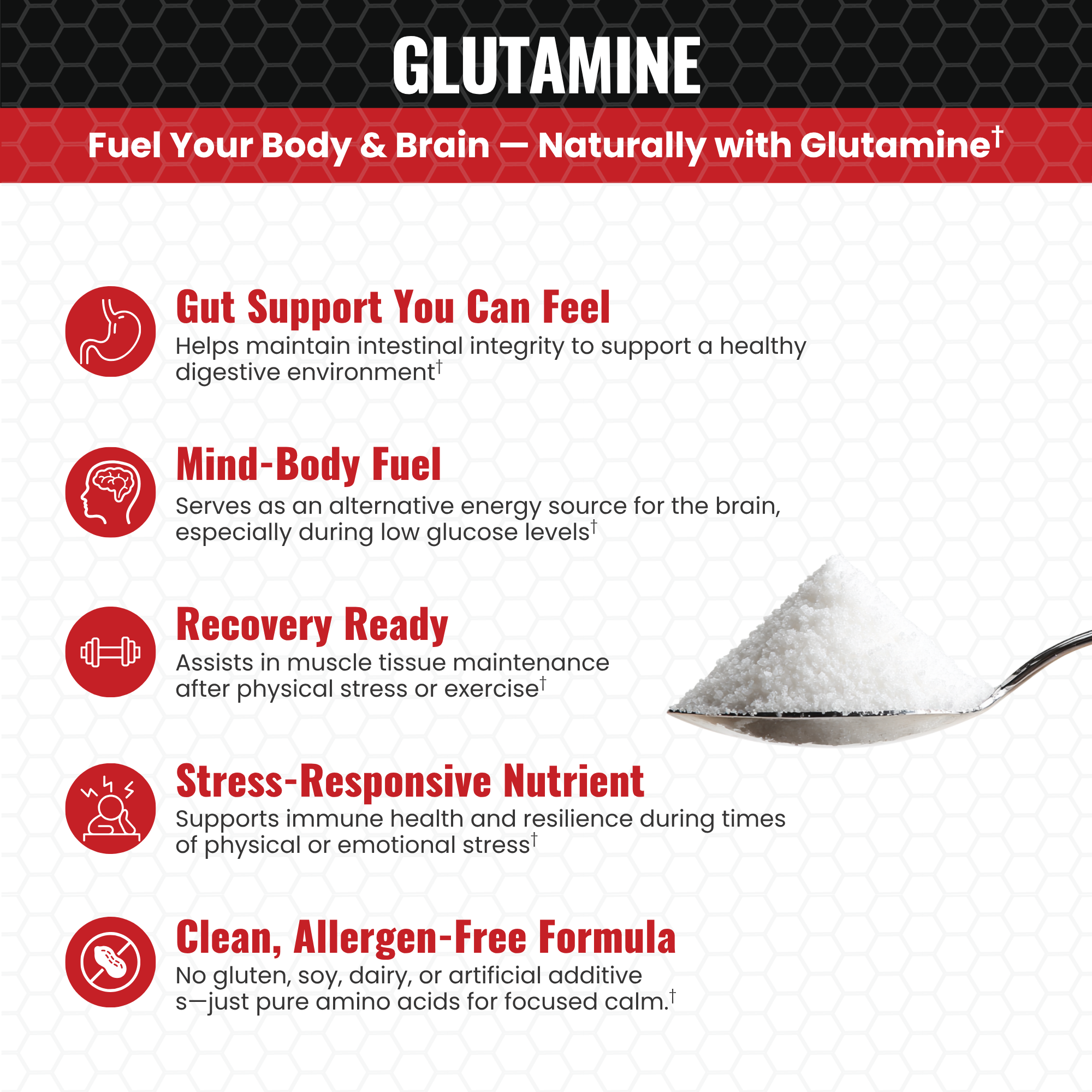 Pain and Stress Center Products - Wholesale Oral Supplement/Vitamin - Super Glutamine — Powder — Gut Repair — Unflavored2