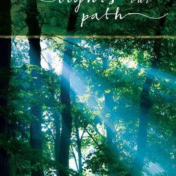 Divinity Boutique - Wholesale Sympathy Card - Single Cards: Sympathy Light In Forest (6 Pack)