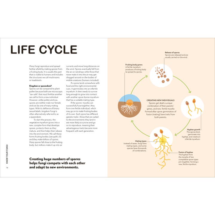 Penguin Random House LLC - Wholesale Nature & Outdoors - Fungi Gardeners2