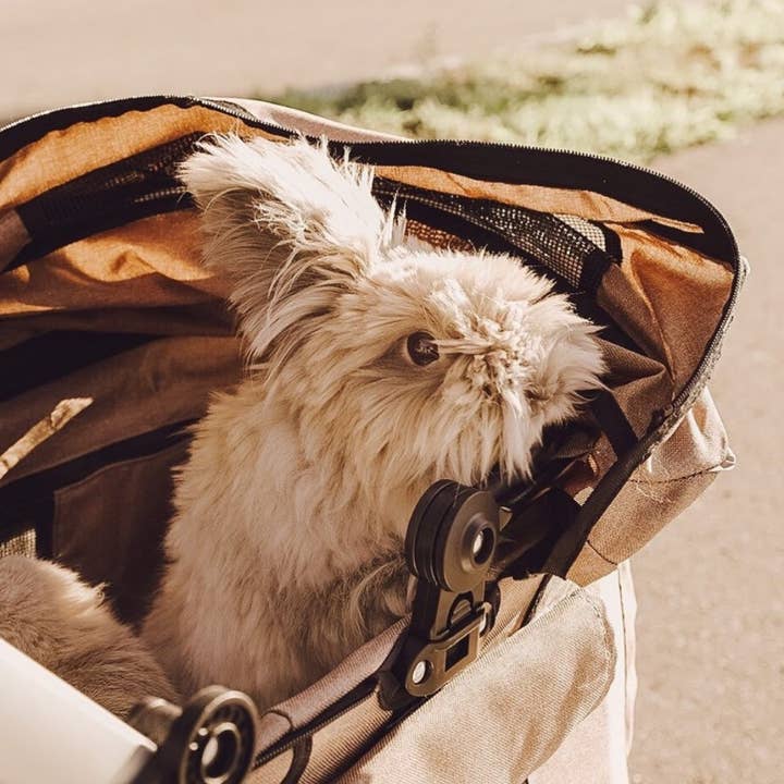 Petique - Wholesale Pet Carrier - Cat/Dog - Newport Pet Stroller (3-in-1 Travel System)23