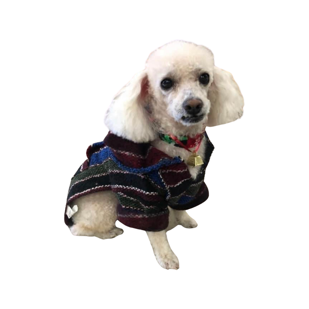 Sanyork Fair Trade - Wholesale Pet Coat - Dog - Dog Baja Jacket Hoodie Coat Size 2 Authentic Pup Mexican1