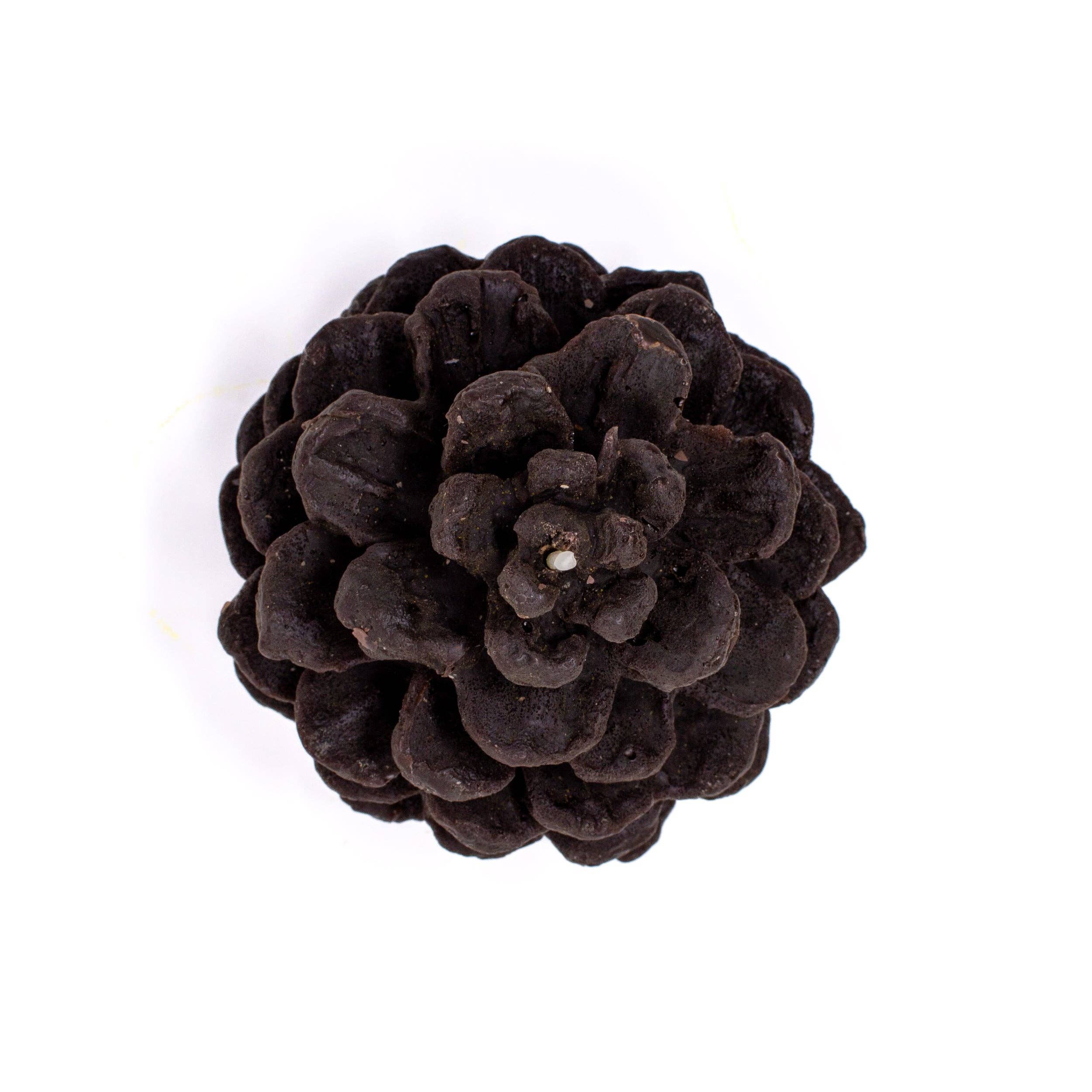 Zenteia - Vendita all'ingrosso Candele regalo - CANDELA DECORATIVA ANANAS | CERA DI ORIGINE CIRCOLARE | 11X9CM3