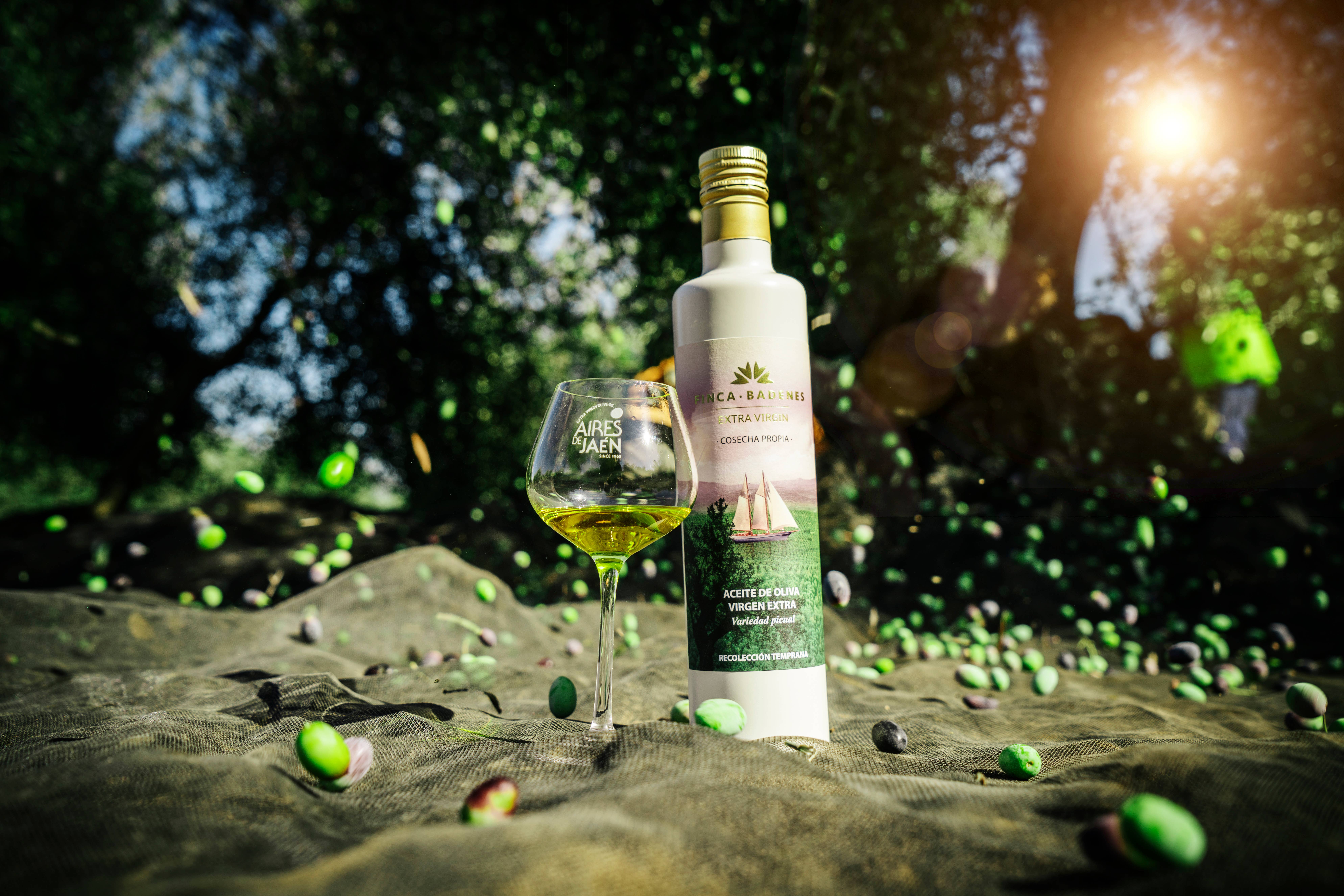 AIRES DE JAEN - Venta al por mayor Aceite de oliva - PACK 12 x 500ml AOVE Finca Badenes PICUAL cosecha temprana7