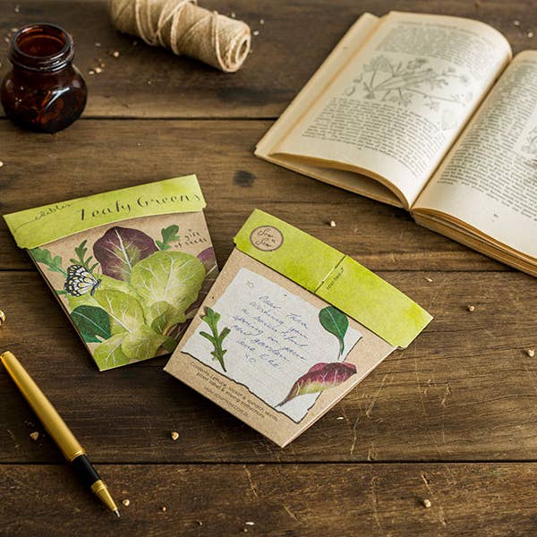 Sow 'n Sow - Vendita all'ingrosso Semi di piante - Regalo di semi di verdure a foglia verde (solo Australia)5