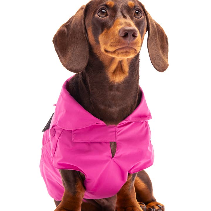 United Pets – wholesale Ytterkläder - Hund – Save the Duck x United Pets kappa för hundar Fuchsia