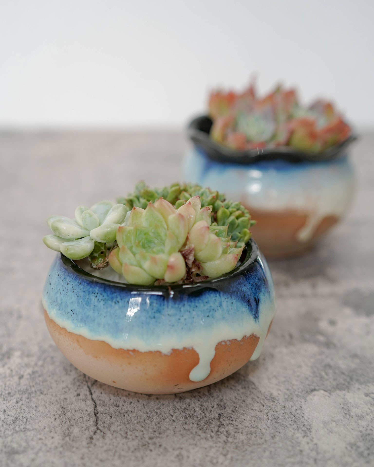 Springer Décor - Venta al por mayor Macetas - Maceta Water Drop con drenaje para plantas y decoración7