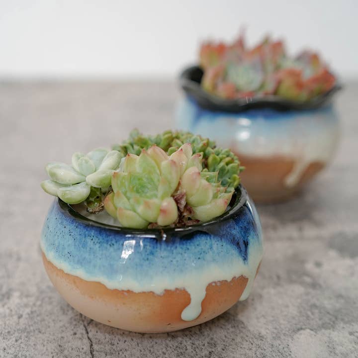 Springer Décor - Wholesale Plant Pot - Water Drop2