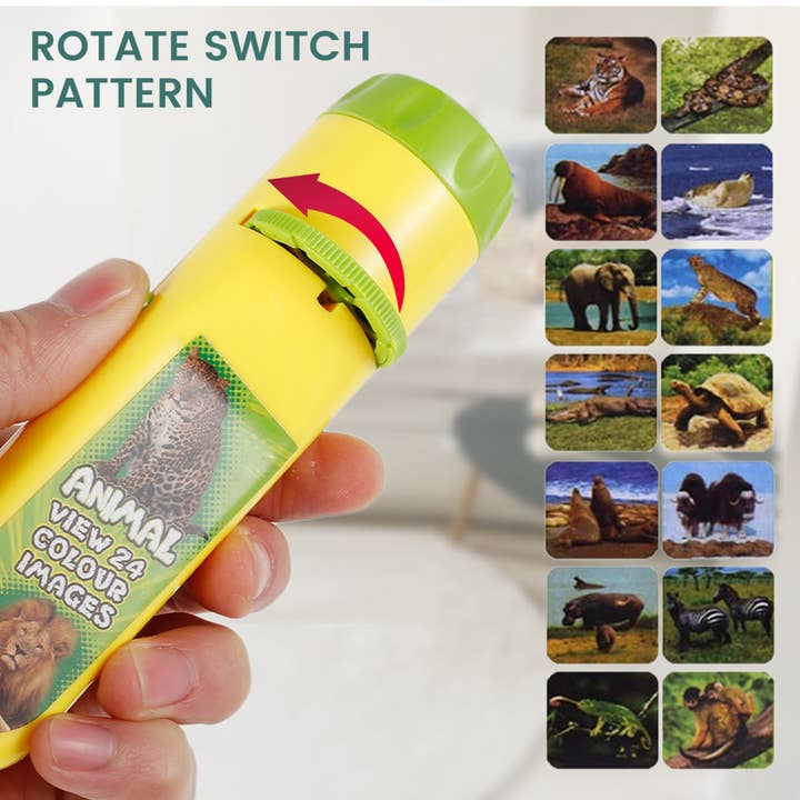 Toyarina - Wholesale Classic Toy - Kids - Educational Projector Torch Toy - Back to School - in bulk