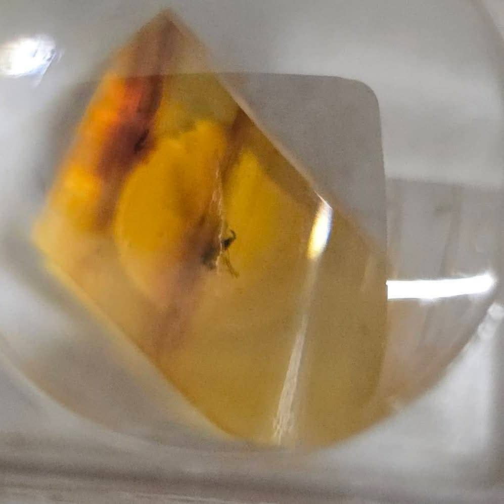 Aquamarine Daydream Wholesale - Vente Pierre et cristal de spiritualité - Ambre avec Insectes ~ Loupe ~ Cristaux ~ Spécimen Minéral2