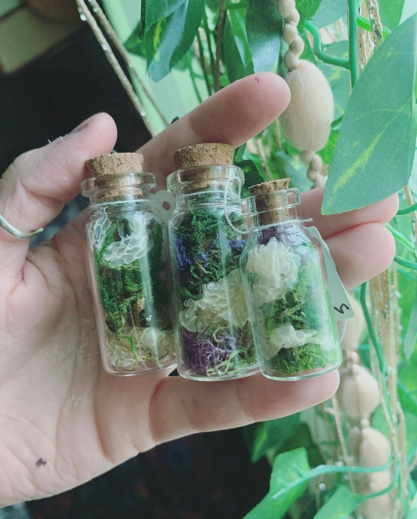 Leafy Ann Art – Engroshandel Apotekerkrukke – Håndlavet apotekerkrukke med slangeskind og mos6