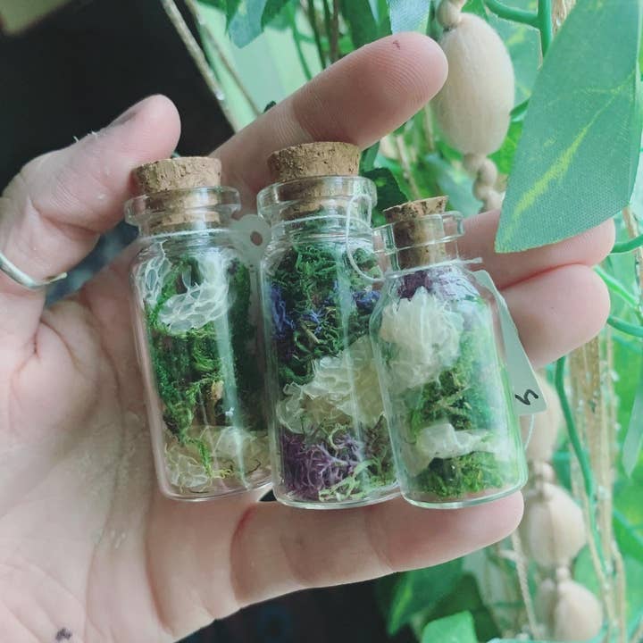 Leafy Ann Art – Engroshandel Apotekerkrukke – Håndlavet apotekerkrukke med slangeskind og mos6