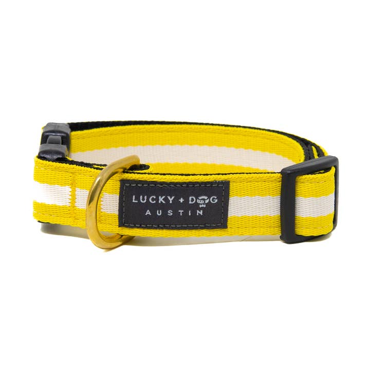 Activewear - Yellow Jacket for wholesale by LUCKY + DOG