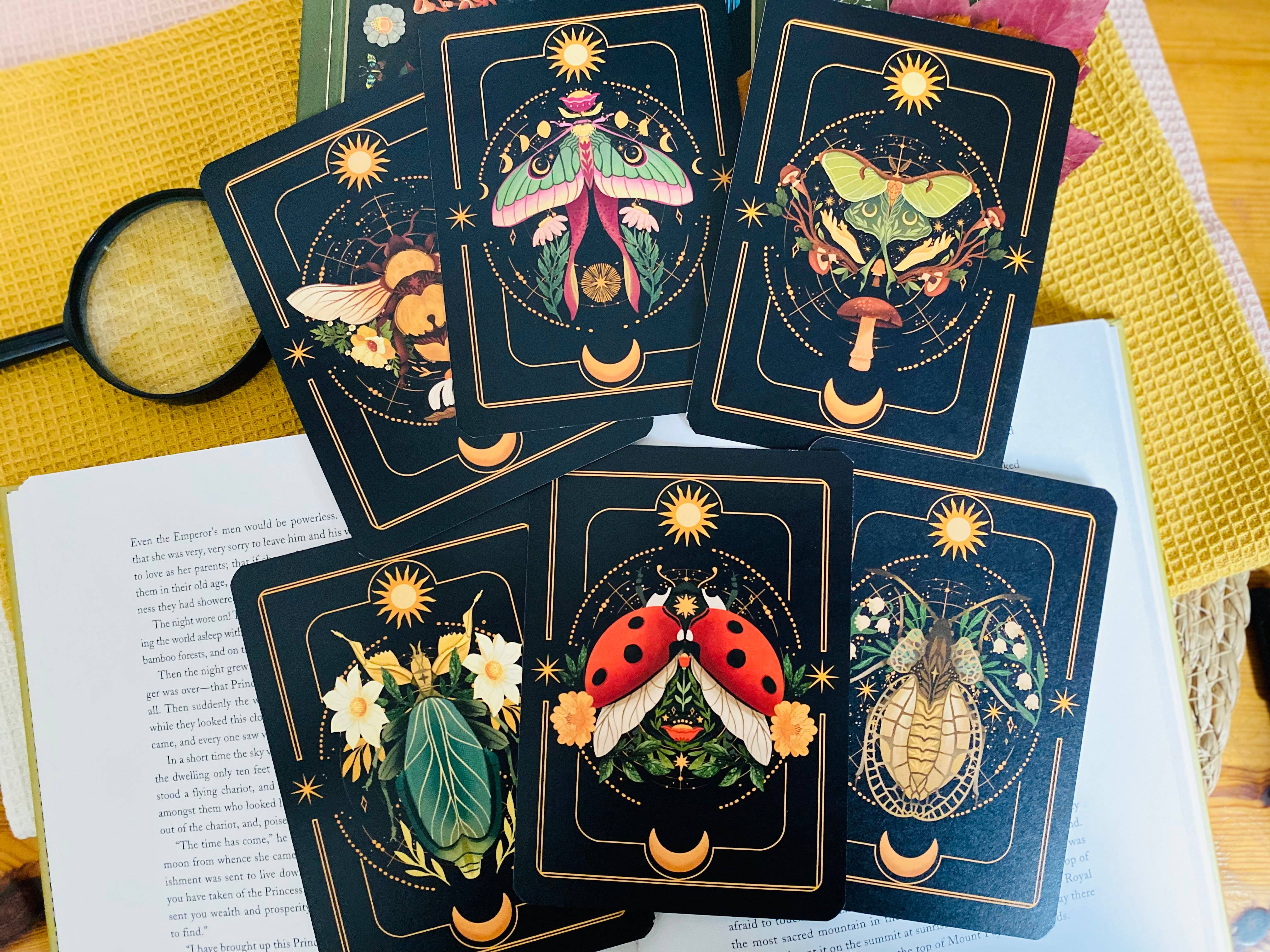 Split Moon Studios - Wholesale Art Print - A Set of Insect Art Prints - A6 Post Card Size - Artprint21