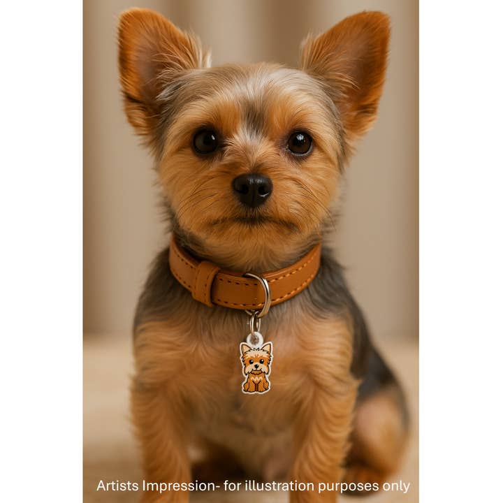 Sunbaked Lizard Jewellery & Gifts - Wholesale Pet collar charm – Dog - Yorkie Dog Collar Charm | Pet Accessories | Pet charms3