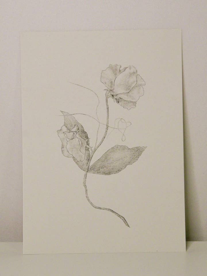 Sweet Pea Stem Print for wholesale by Sam Callery Art
