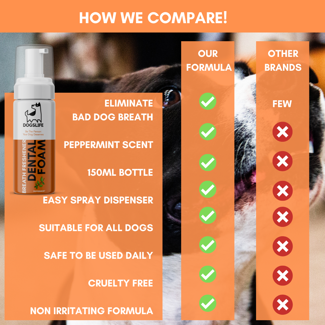 OurPetsLife - Wholesale Pet Grooming Aid - Dog - Dental Foam for Dogs5