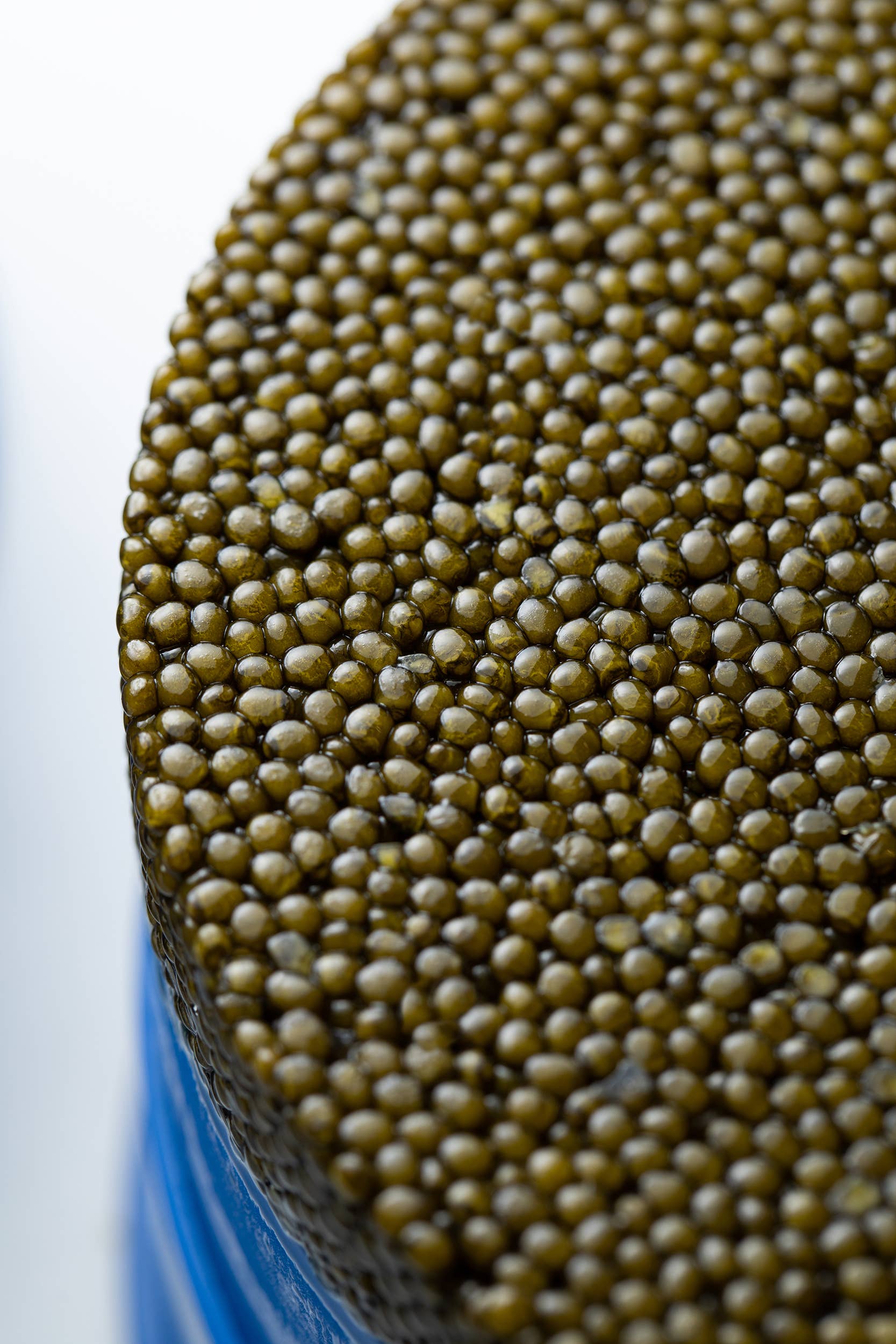 Regiis Ova Caviar - Wholesale Fish/Seafood - Regiis Ova Ossetra Caviar2