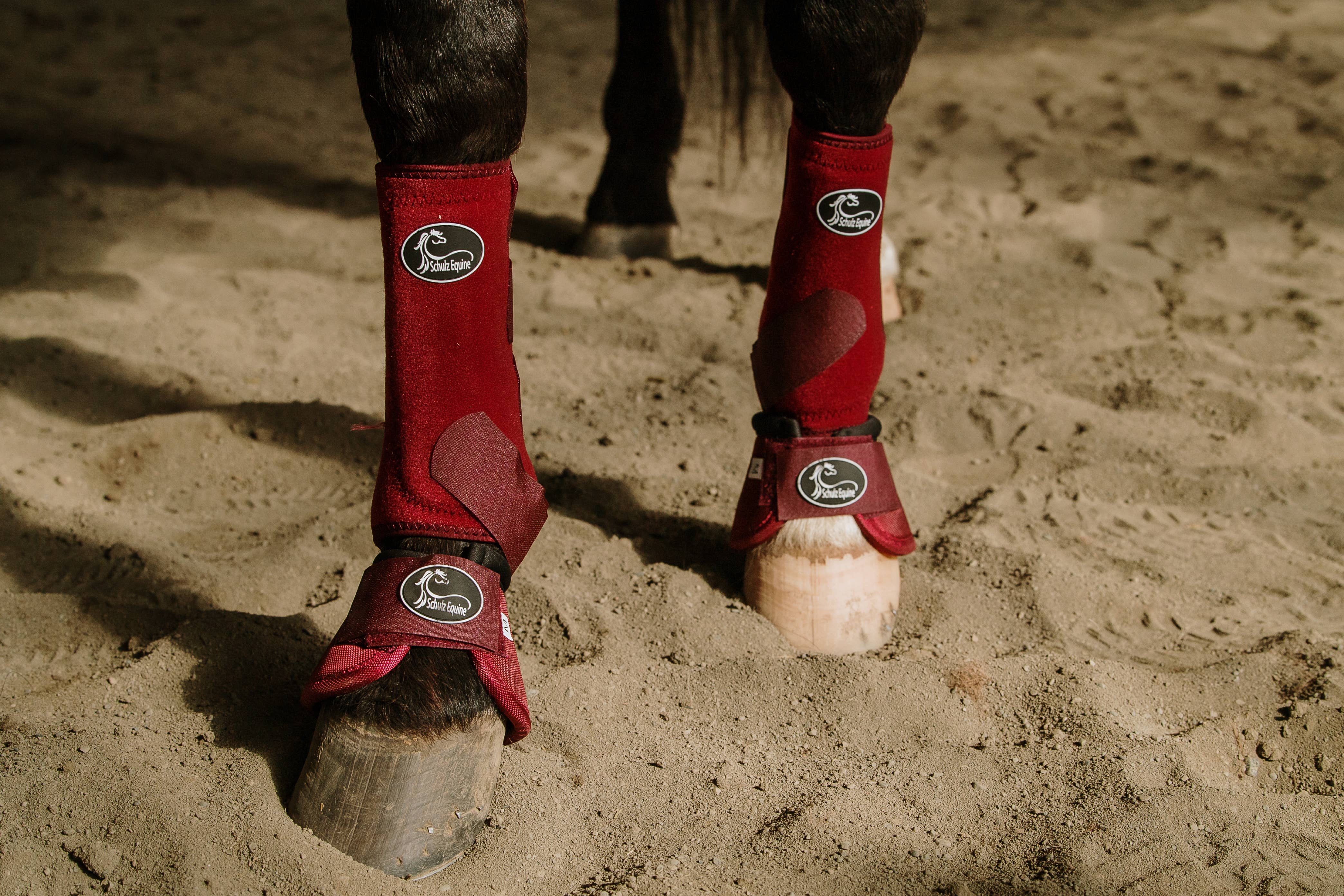 Schulz Equine – wholesale Ridutrustning – Schulz Equine bell boots med livfulla mönster1
