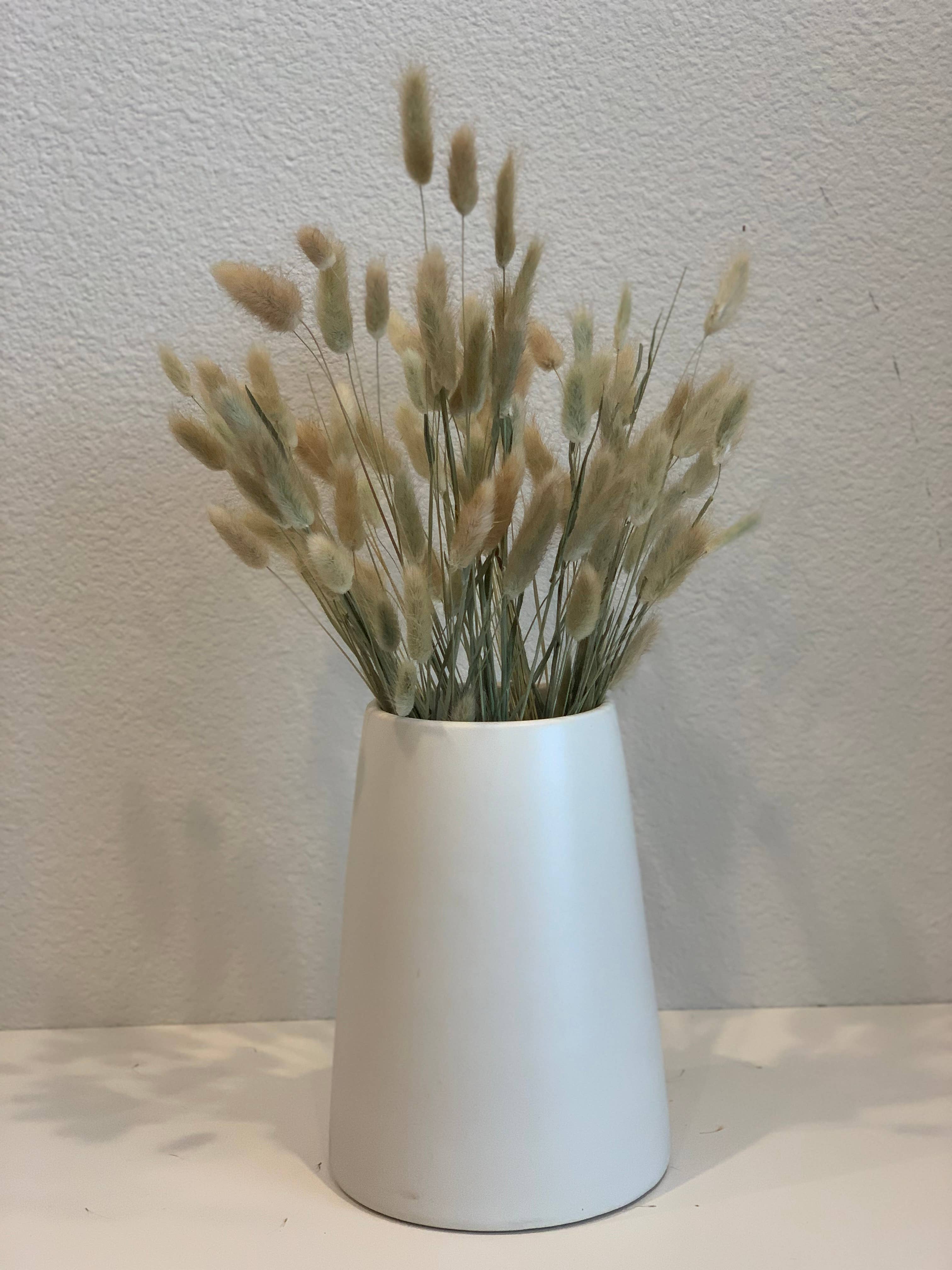 Delmar Decor – wholesale Torkade/pressade blommor – Torkad kanin svans, blommig inredning8
