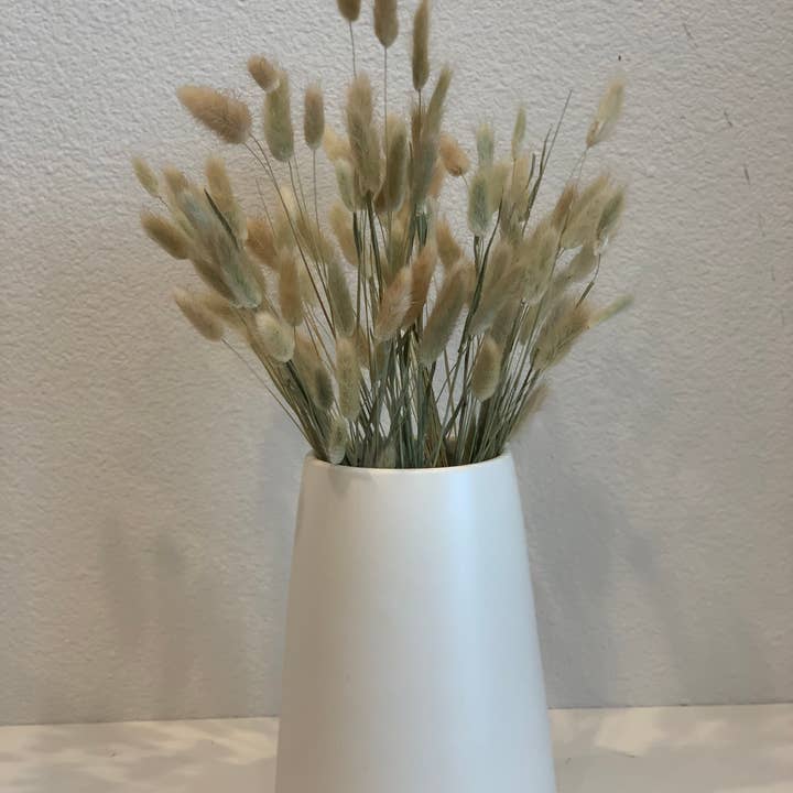 Delmar Decor – Großhandel Getrocknete/gepresste Blumen – Getrockneter Hasenschwanz, florales Dekor2