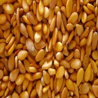 La Saponaria - Wholesale Bath/Body Oil - Sesame Oil (100 ml)1