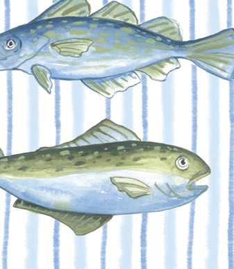 Jessica Frasz Studio - Wholesale Everyday Greeting Card - Three Fish greeting card 2