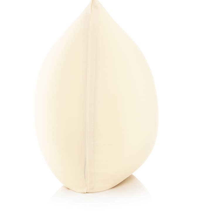 Husband Pillow - Wholesale Throw/Decorative Pillow - 360 - PilSpan-22X22-OffCream16