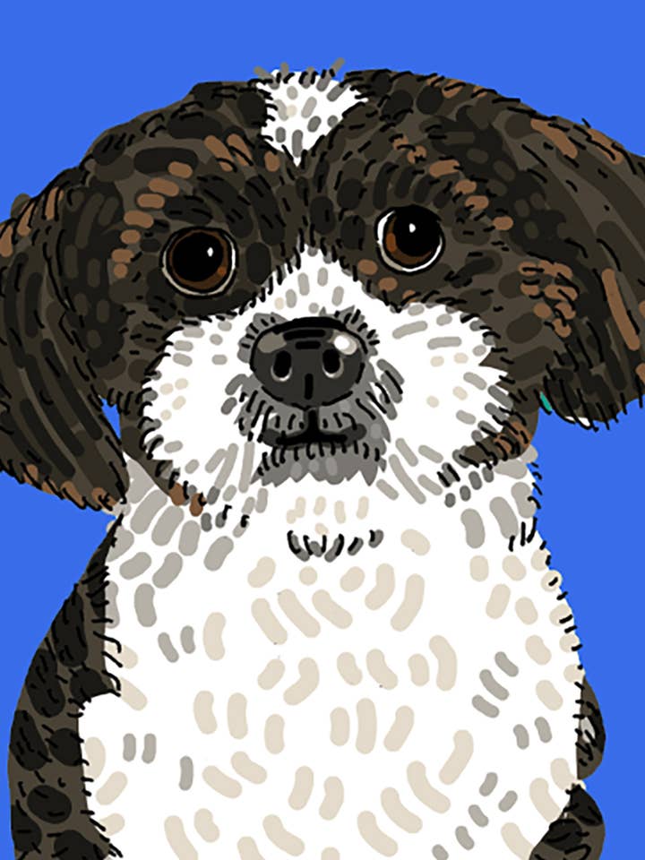 Shih Tzu Thank You Card for wholesale by Alli Arnold