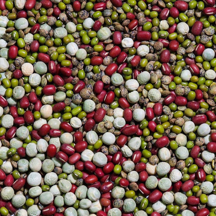 Sproutman - Wholesale Plant Seeds - Organic Crunch Time Sprouting Seed