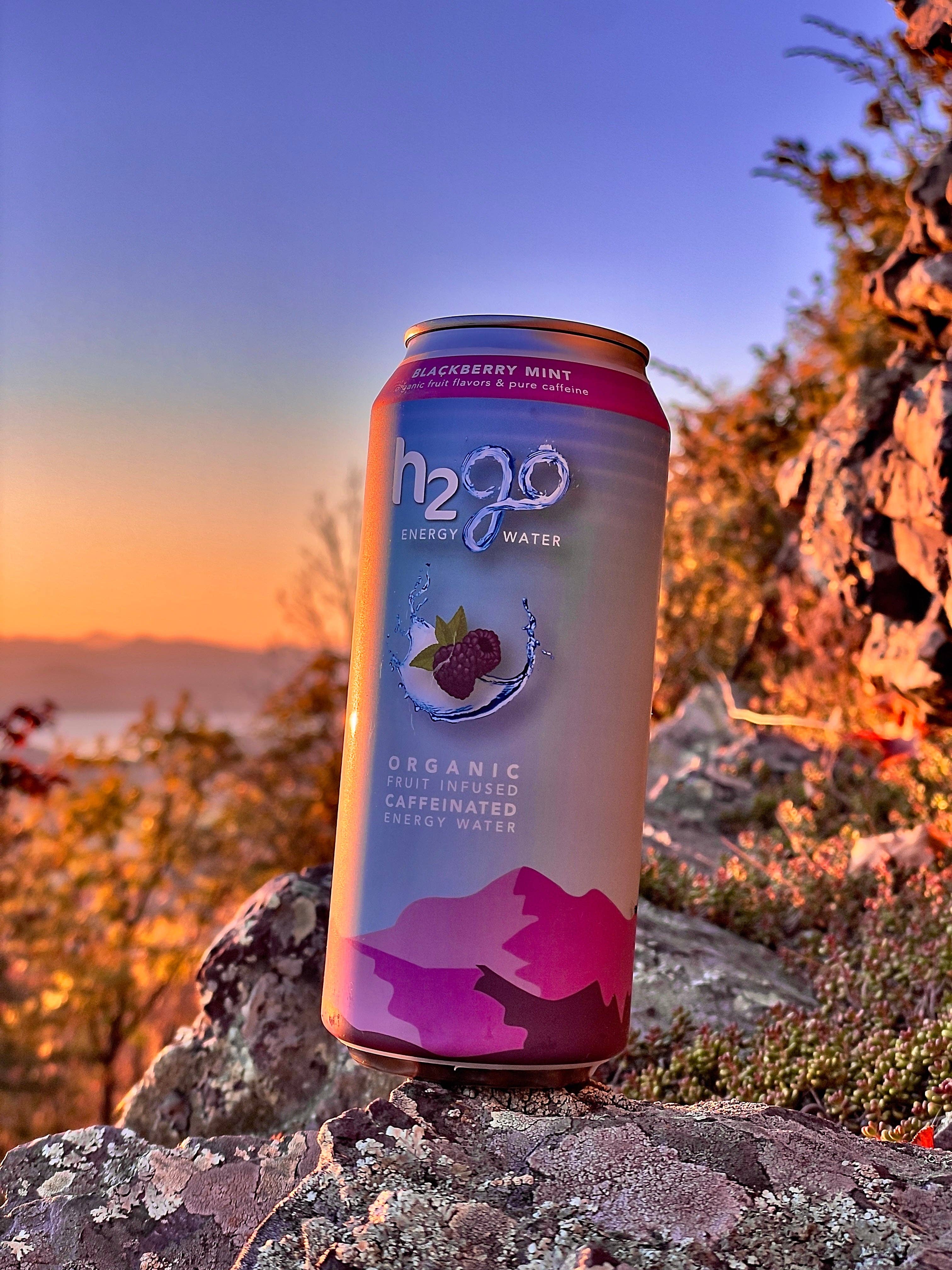 h2go Energy Water - Wholesale Sports/Energy Drink - Blackberry Mint Natural Energy Drinks for Weight Loss 12 Pk6