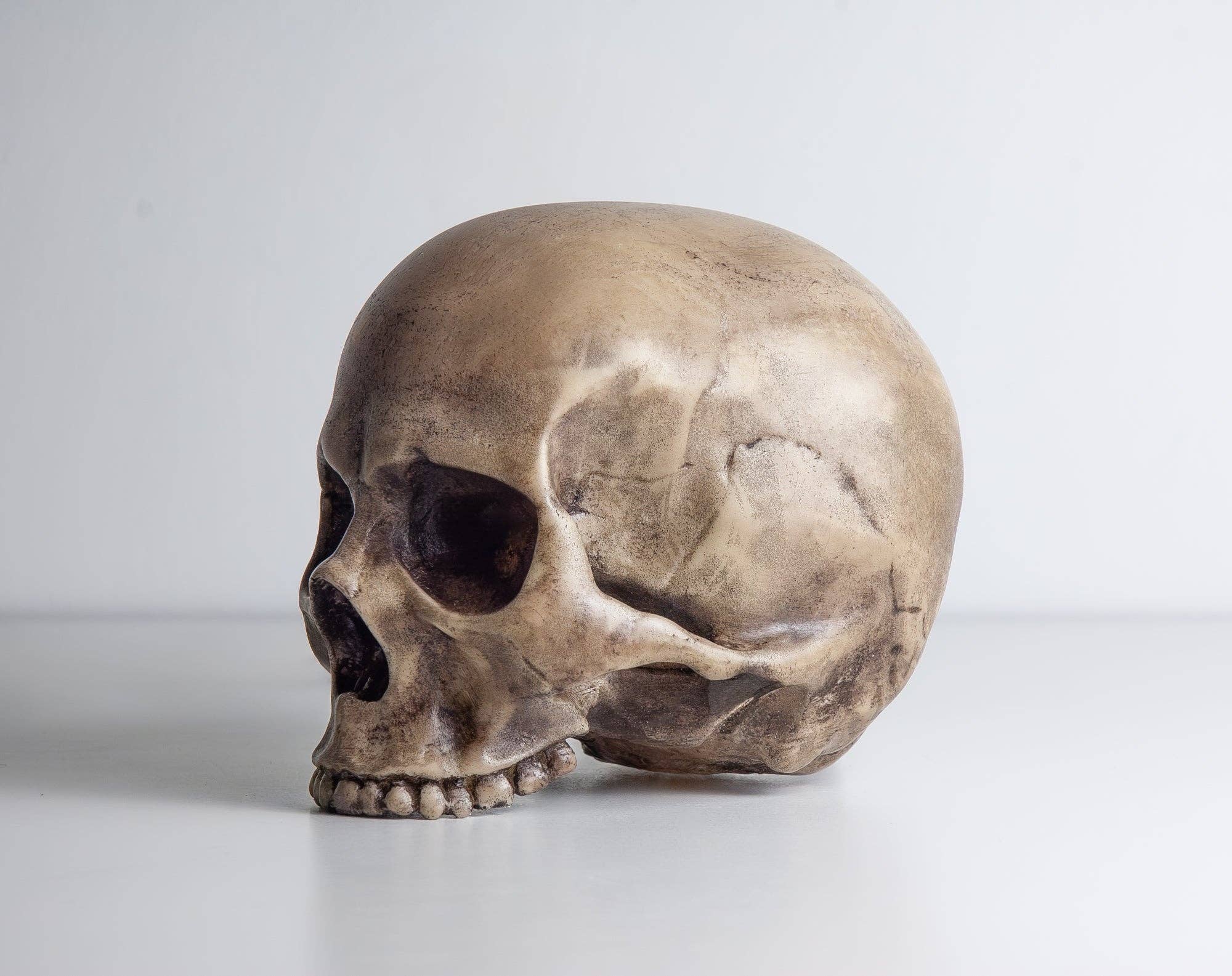 G7T6 – wholesale Accent-/skrivbordslampa – Skull-lampa handgjord med verklighetstrogen skalle1