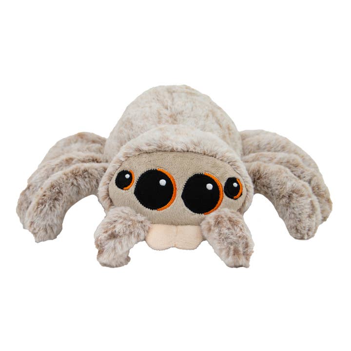 Ancol Pet Products Ltd - Wholesale Pet Plush Toy - Dog - Play Time For Dogs - Soft Sid The Spider