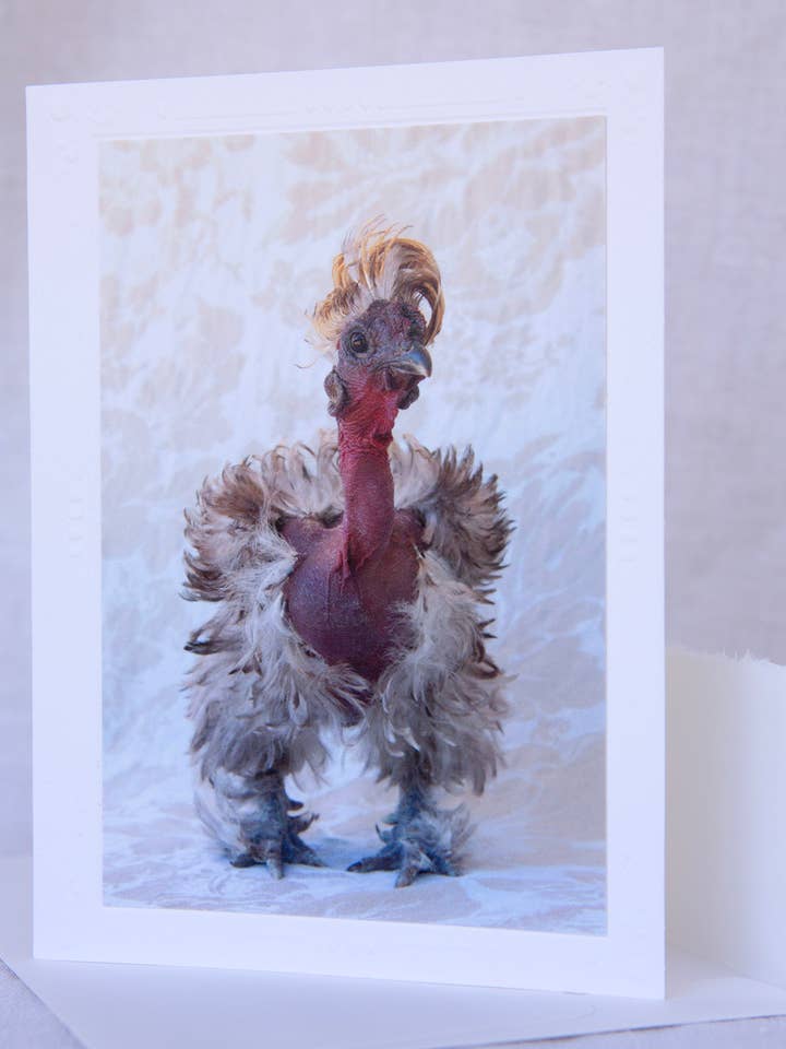 Liberace - Rescue - Handgemaakte wenskaart voor wholesale door Sonoma Chicks