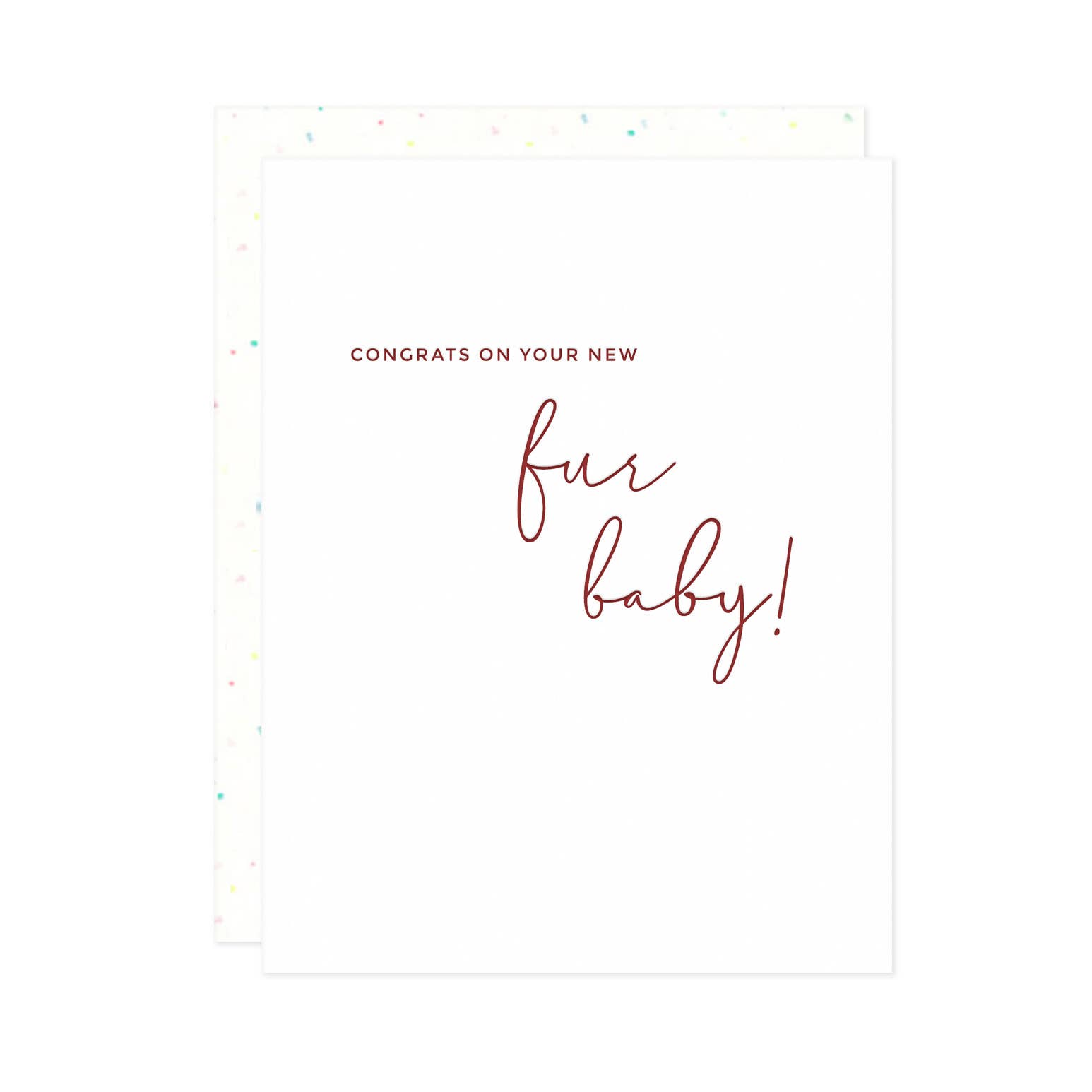 Missive - Wholesale Baby Card - Fur Baby New Pet Letterpress Greeting Card1